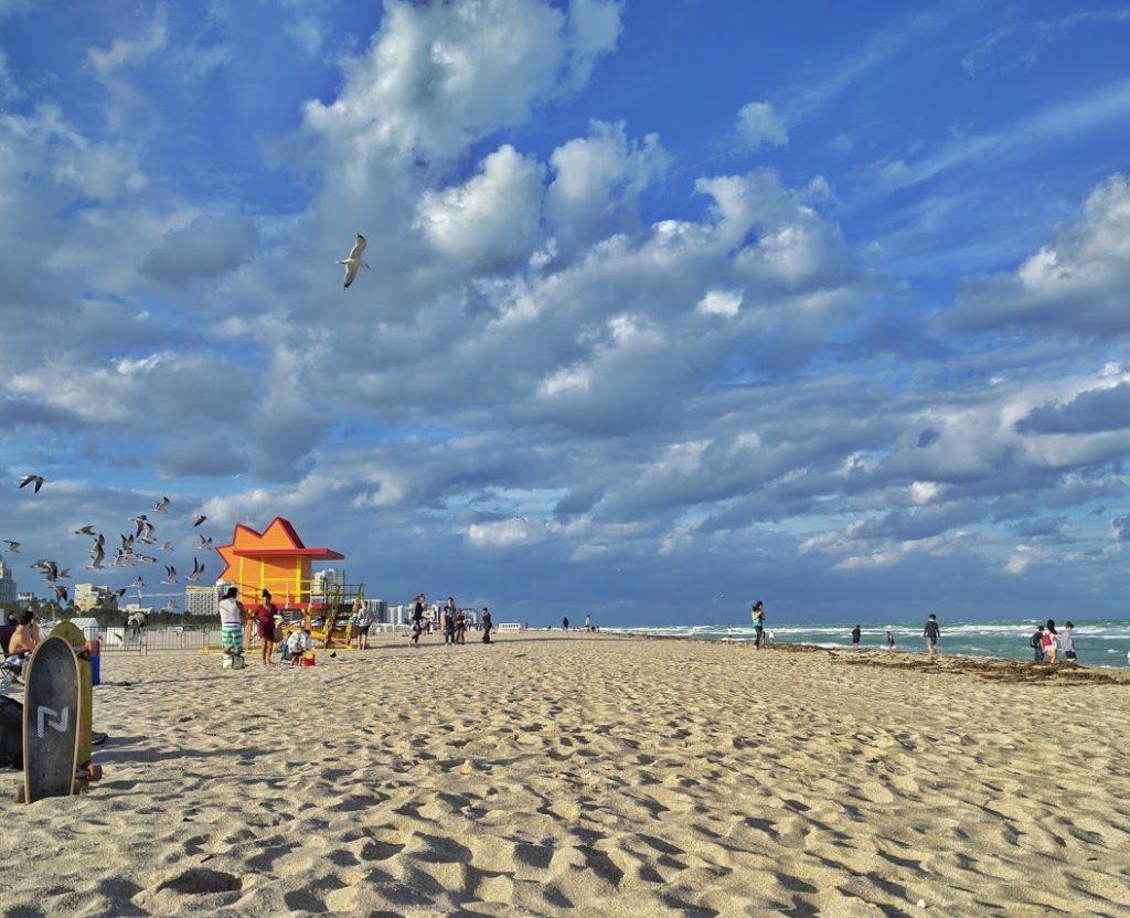Sustainable & Smart Travel: a week in Miami, how to survive?