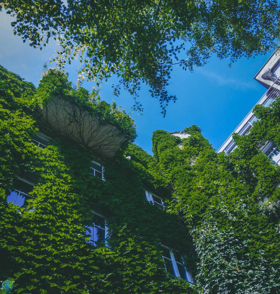 Boutiquehotel Stadthalle Wien Review