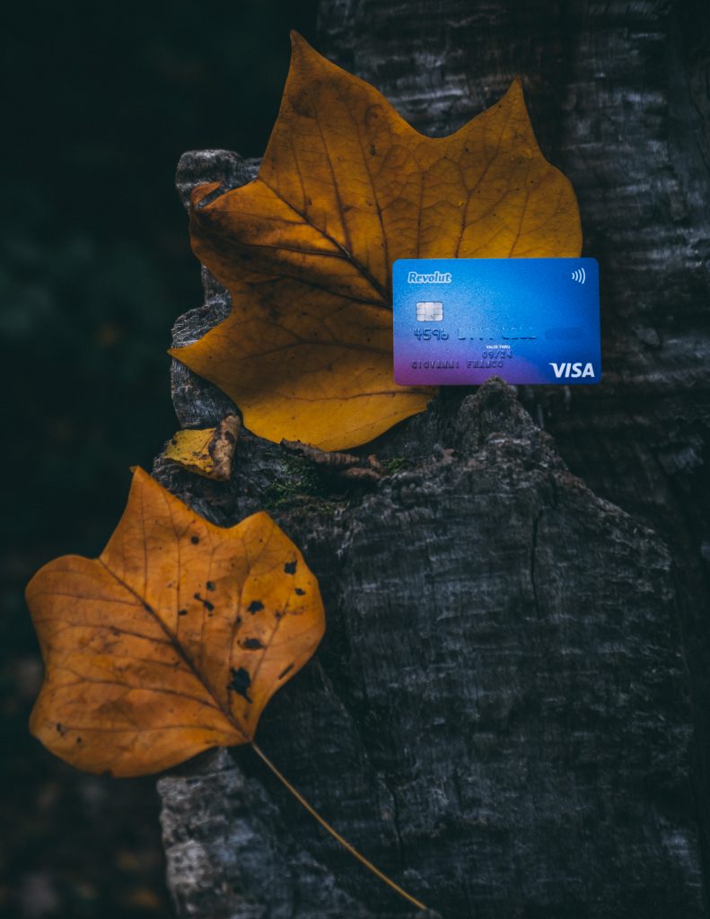 Revolut Card Autumn