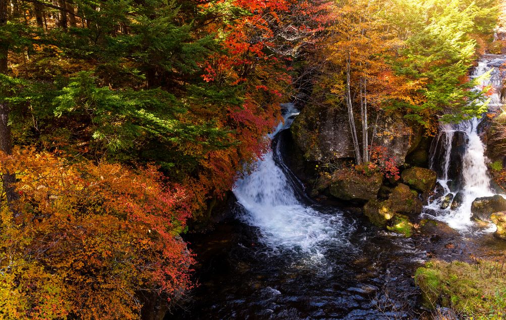 Nikko National Park Japan Foliage