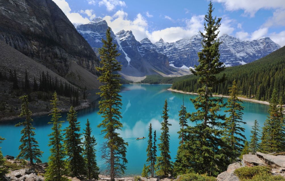 Parco Nazionale Banff Canada Foliage
